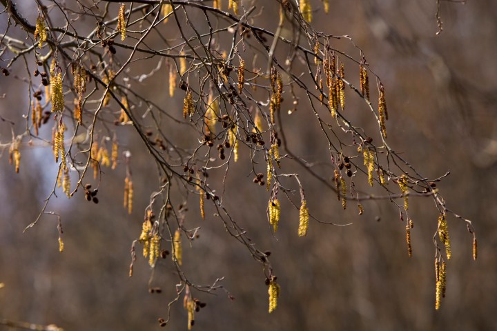 IMG_0265 norkot_edited-1