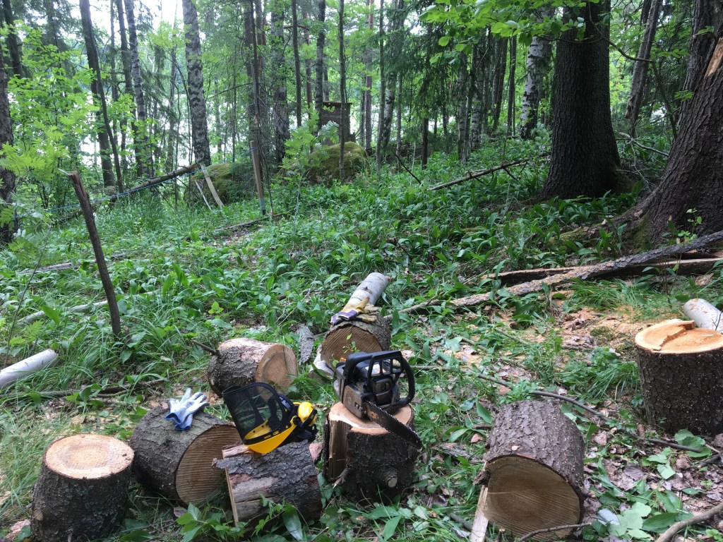 Mökkitien raivaus, puiden kaataminen, MindyJBlog