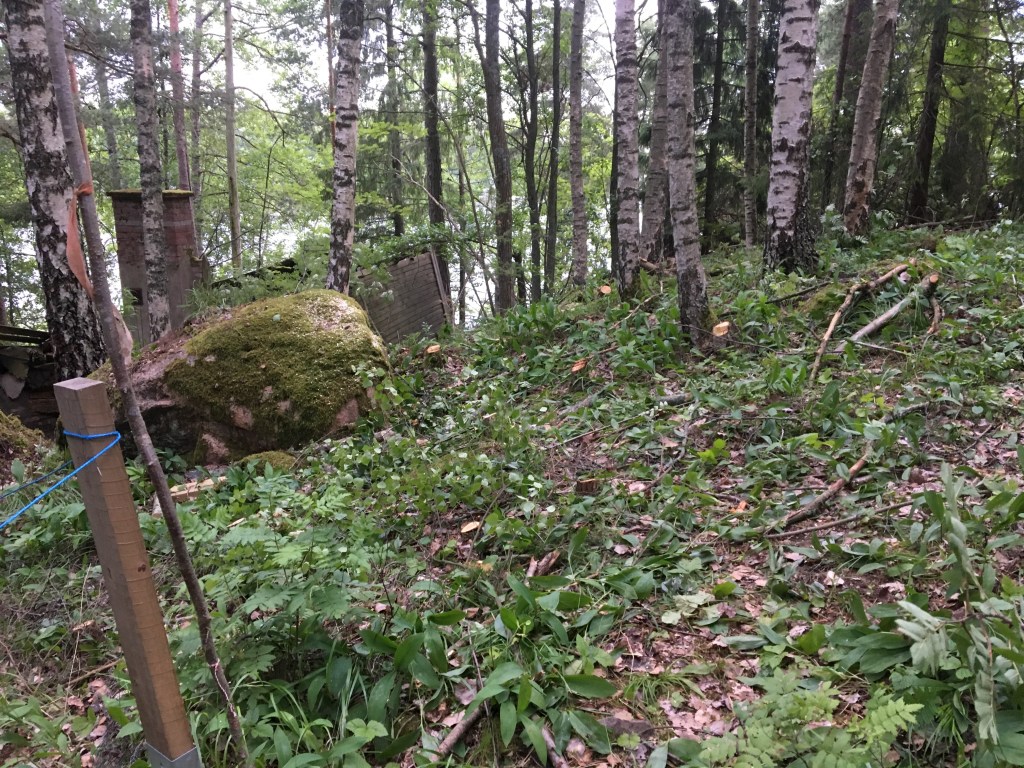 Mökkitien raivaus, puiden kaataminen, vanhan mökin savupiippu näkyy jo, MindyJBlog