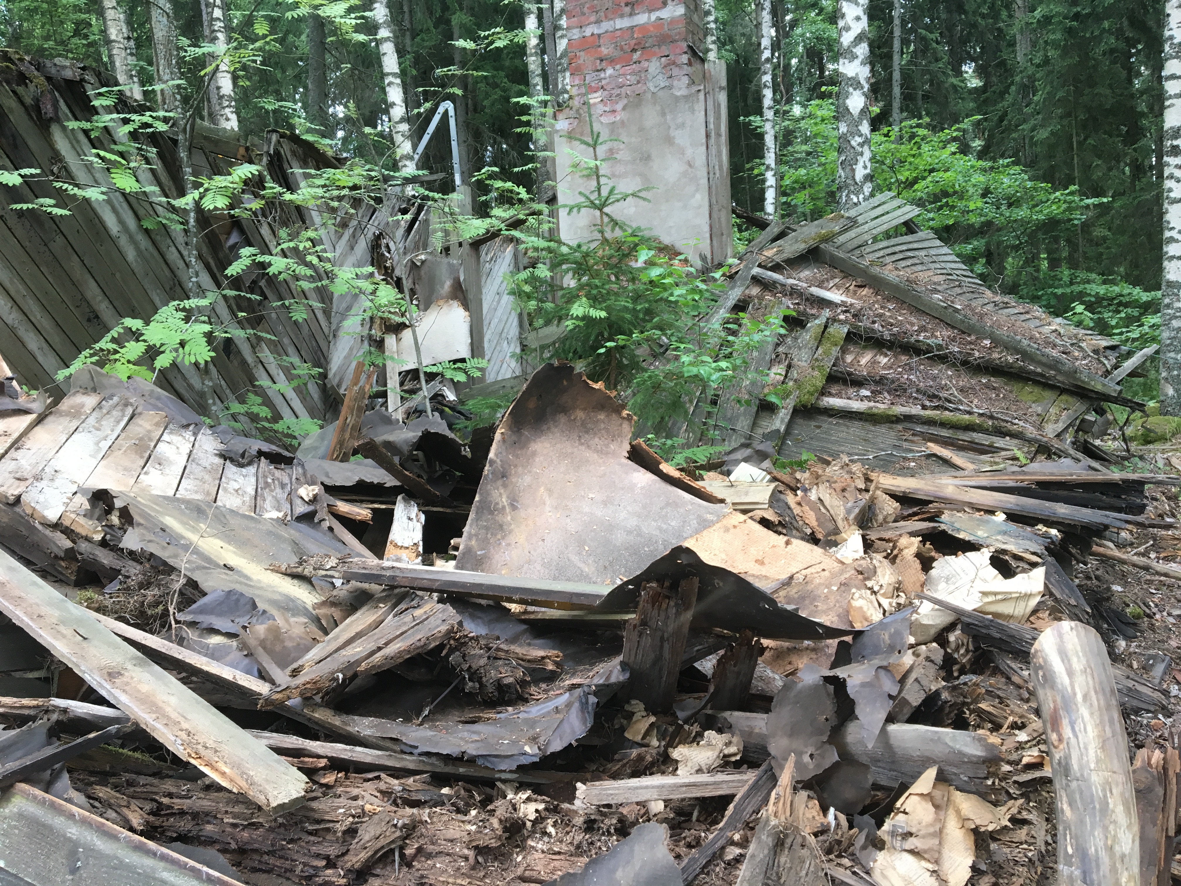 Lahonnut mökki vuodelta 1952, MindyJBlog