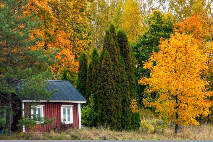 Inkoo vanha mökki ruska lokakuu 2017