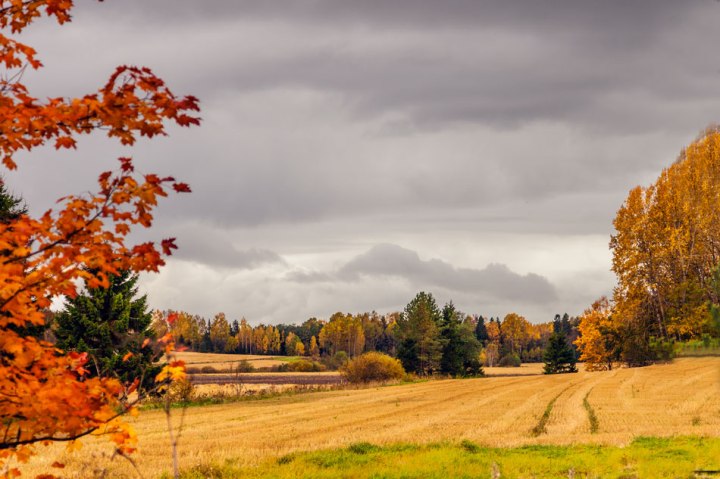 Inkoon Rantatie lokakuu 2017