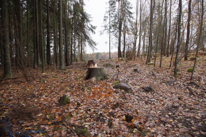 Tonttitien rakentaminen