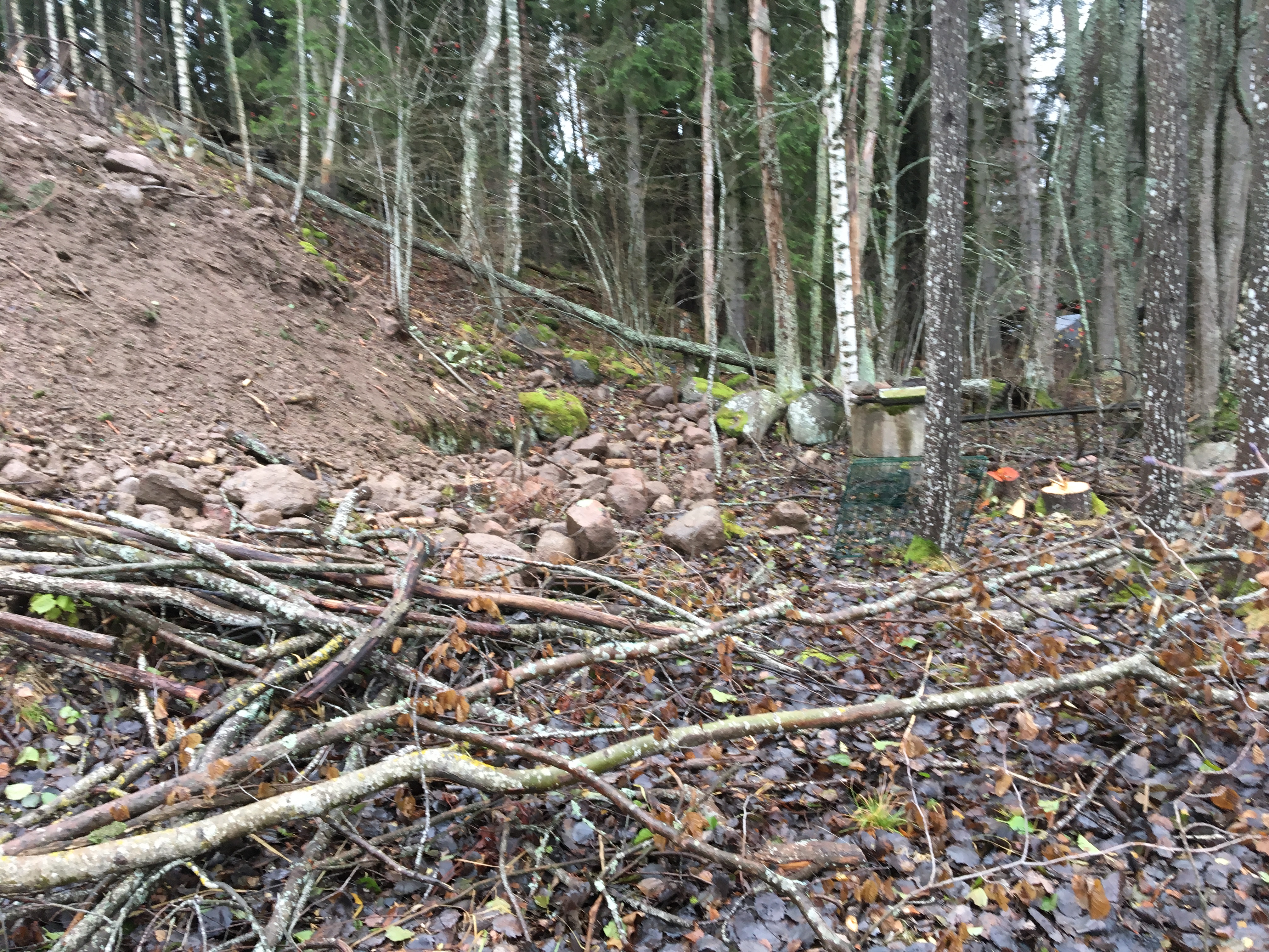 Rakennusaikainen tontti, Lohjanjärvi, Lohja MindyJBlog