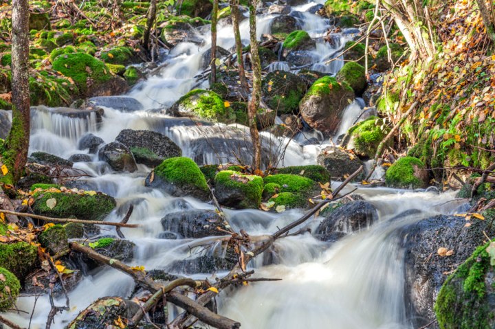 Risslan koski Fiskars