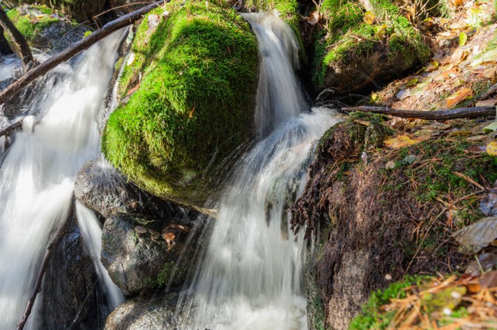 Risslan koski Fiskars