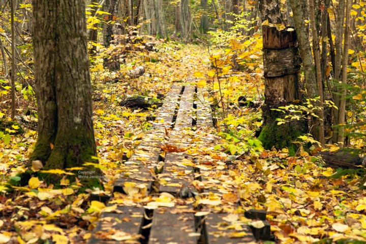 Karkali luonnonpuisto, Karkali nature park