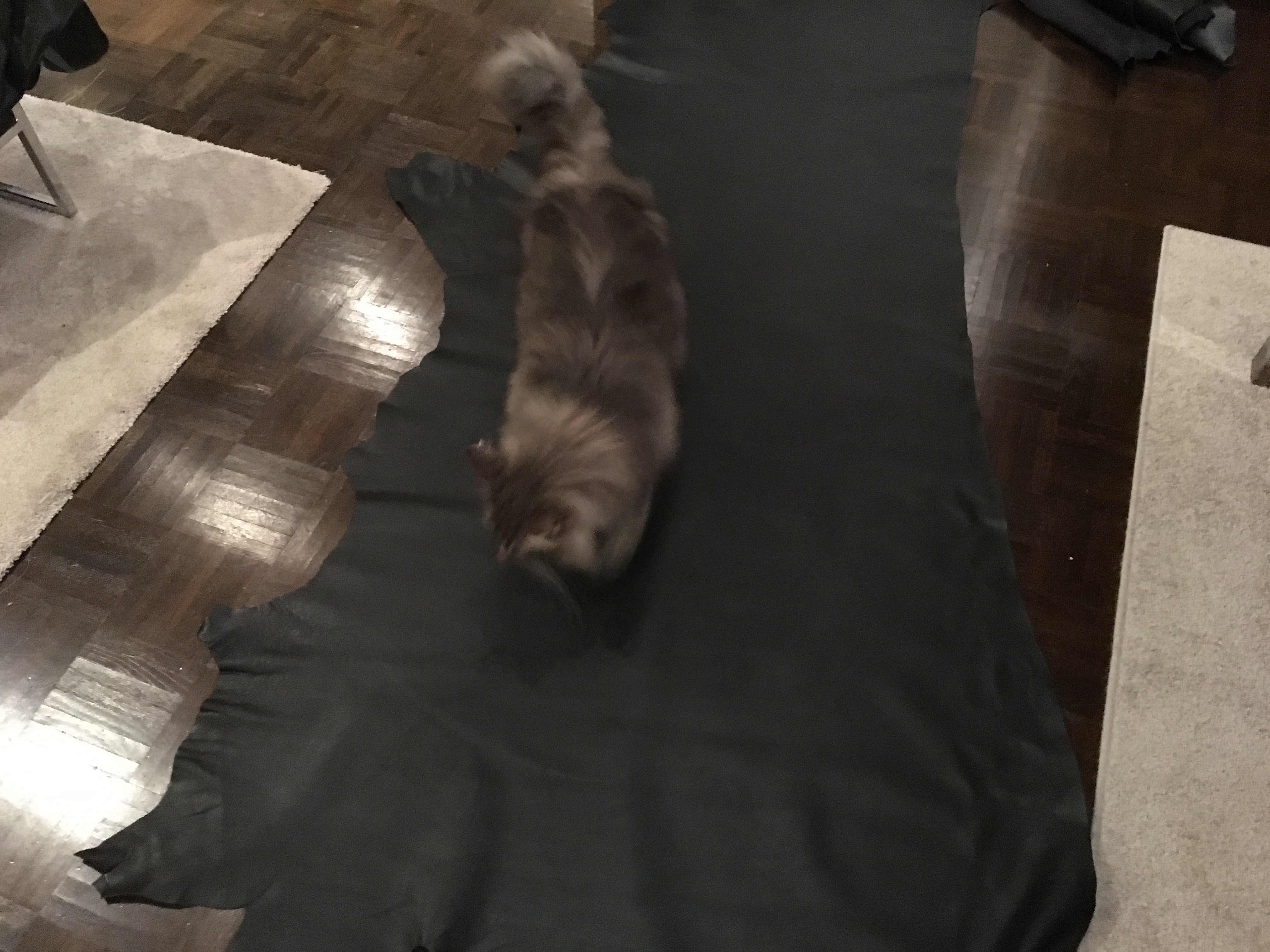 Verhoilumateriaalin valinta nahka