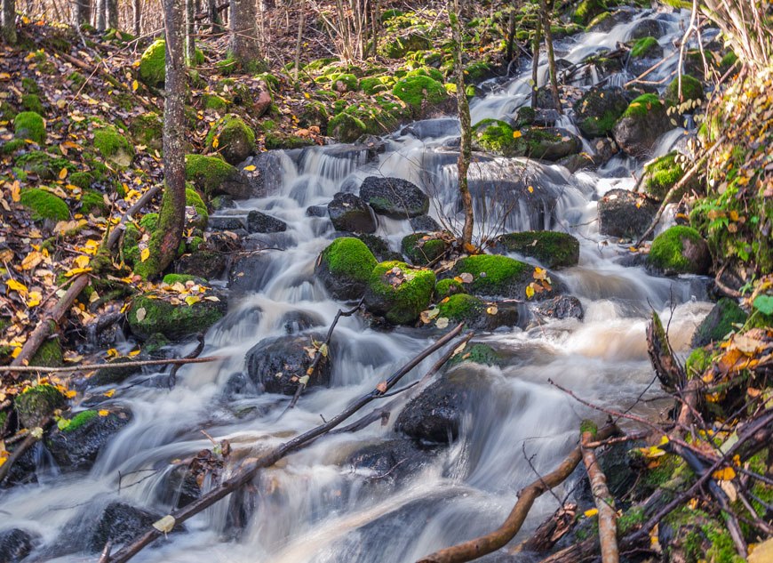 Risslan koski Fiskars