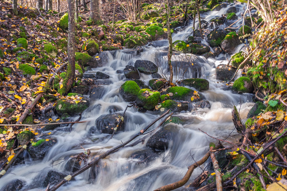 Risslan koski Fiskars